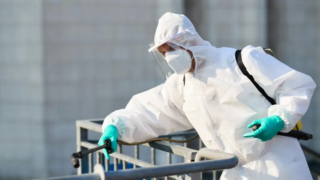 Dedetizadora em BH: sinais de que sua casa precisa do serviço