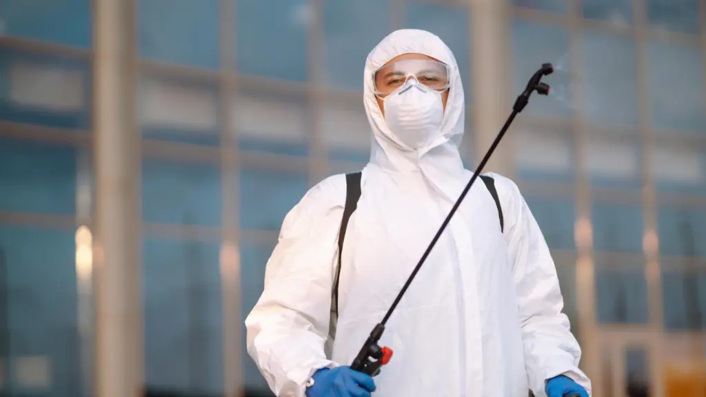 Dedetizadora em BH: quanto custa e quando contratar